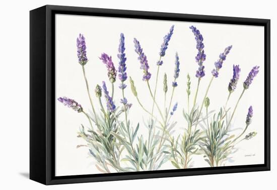 Floursack Lavender V on Linen-Danhui Nai-Framed Stretched Canvas