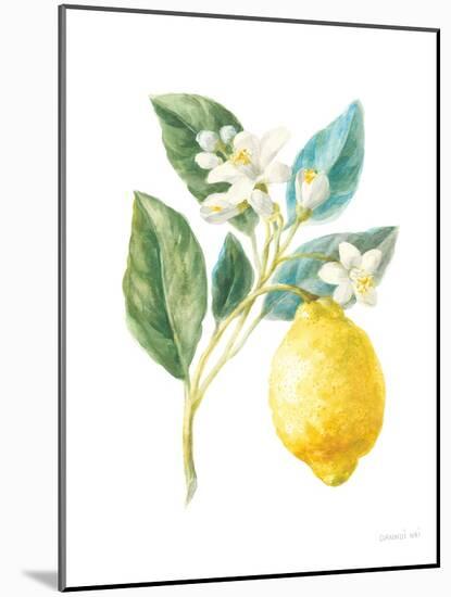 Floursack Lemon I on White-Danhui Nai-Mounted Art Print