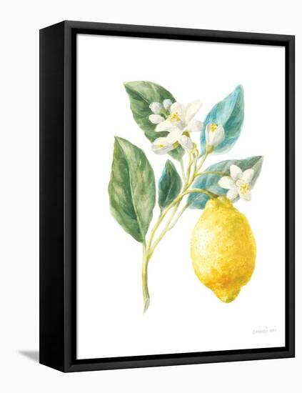 Floursack Lemon I on White-Danhui Nai-Framed Stretched Canvas