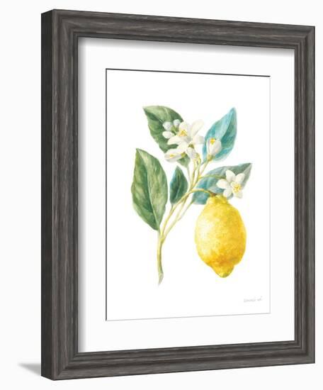 Floursack Lemon I on White-Danhui Nai-Framed Art Print