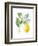 Floursack Lemon I on White-Danhui Nai-Framed Art Print