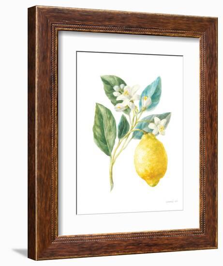 Floursack Lemon I on White-Danhui Nai-Framed Art Print