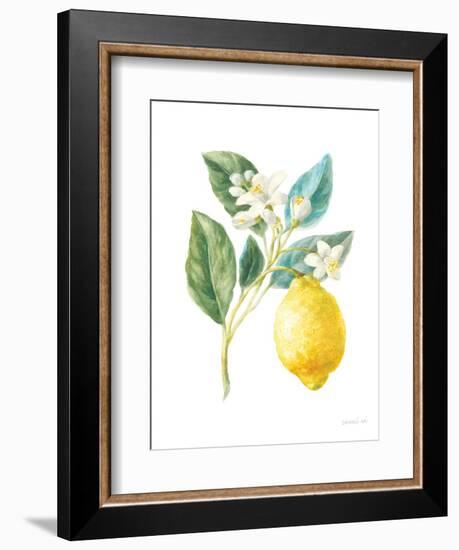 Floursack Lemon I on White-Danhui Nai-Framed Art Print