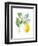 Floursack Lemon I on White-Danhui Nai-Framed Art Print