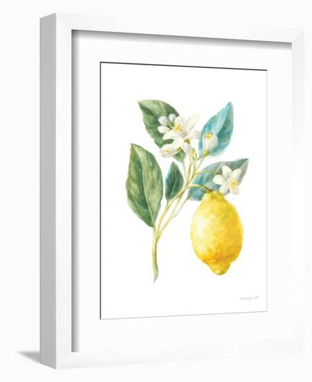 Floursack Lemon I on White-Danhui Nai-Framed Art Print