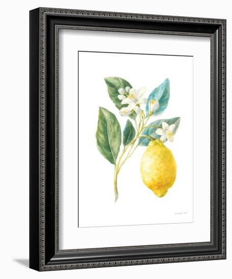 Floursack Lemon I on White-Danhui Nai-Framed Art Print