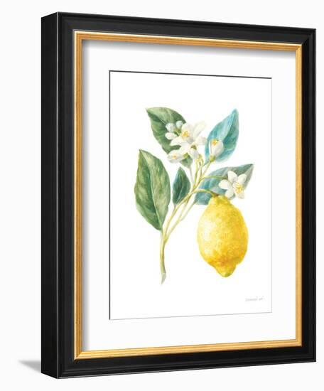 Floursack Lemon I on White-Danhui Nai-Framed Art Print