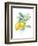 Floursack Lemon II on White-Danhui Nai-Framed Art Print