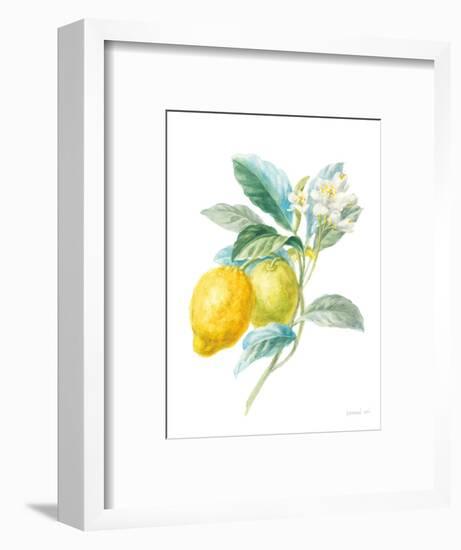 Floursack Lemon II on White-Danhui Nai-Framed Art Print