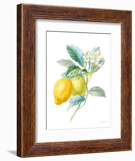 Floursack Lemon II on White-Danhui Nai-Framed Art Print