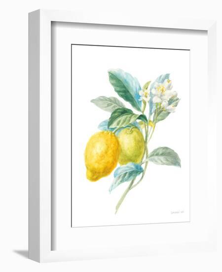 Floursack Lemon II on White-Danhui Nai-Framed Art Print