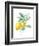 Floursack Lemon II on White-Danhui Nai-Framed Art Print