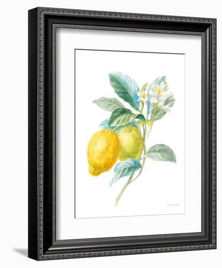 Floursack Lemon II on White-Danhui Nai-Framed Art Print