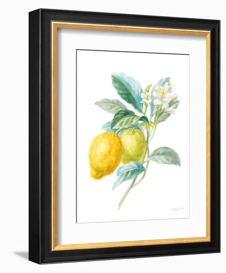 Floursack Lemon II on White-Danhui Nai-Framed Art Print