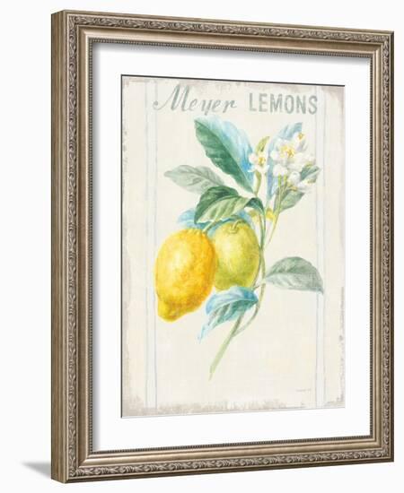 Floursack Lemon II v2-Danhui Nai-Framed Art Print