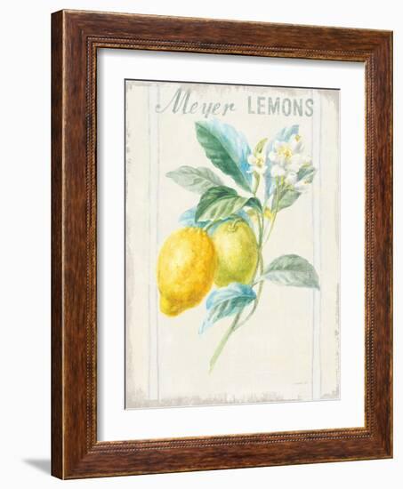 Floursack Lemon II v2-Danhui Nai-Framed Art Print