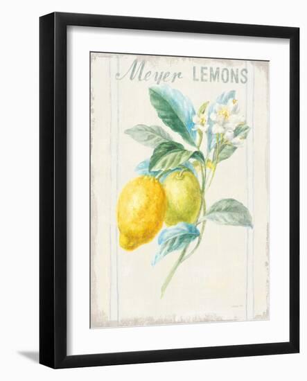 Floursack Lemon II v2-Danhui Nai-Framed Art Print