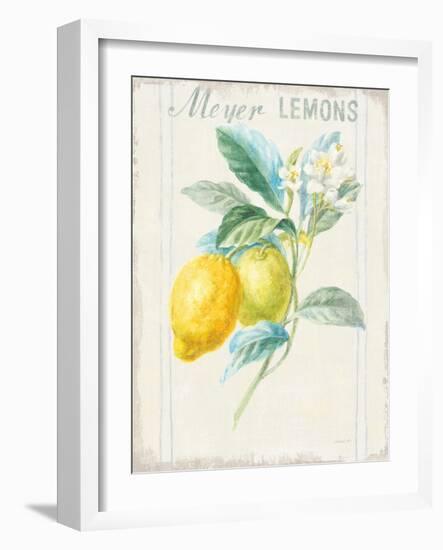 Floursack Lemon II v2-Danhui Nai-Framed Art Print