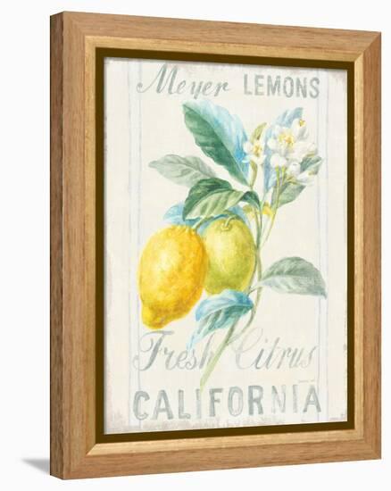 Floursack Lemon II-Danhui Nai-Framed Stretched Canvas