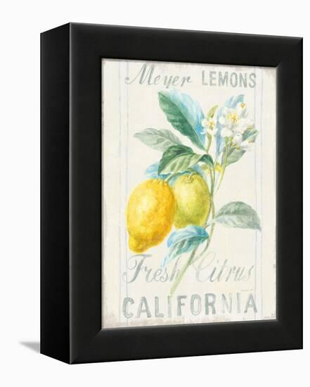 Floursack Lemon II-Danhui Nai-Framed Stretched Canvas