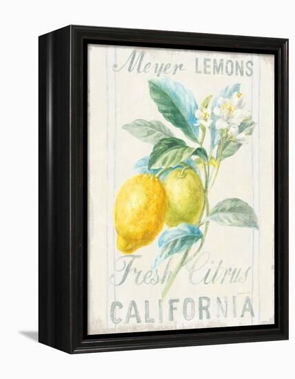 Floursack Lemon II-Danhui Nai-Framed Stretched Canvas