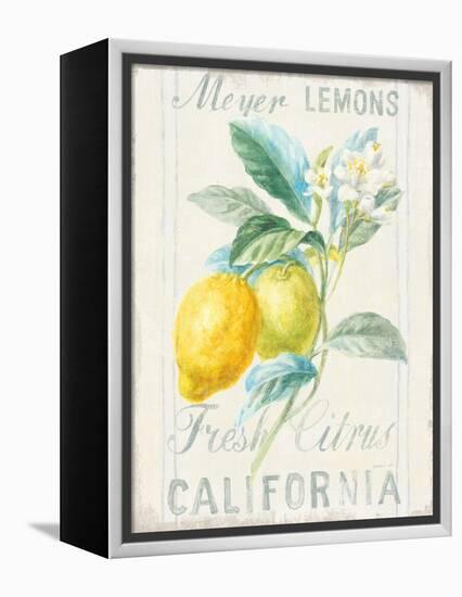 Floursack Lemon II-Danhui Nai-Framed Stretched Canvas