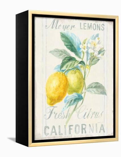 Floursack Lemon II-Danhui Nai-Framed Stretched Canvas