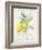 Floursack Lemon II-Danhui Nai-Framed Art Print