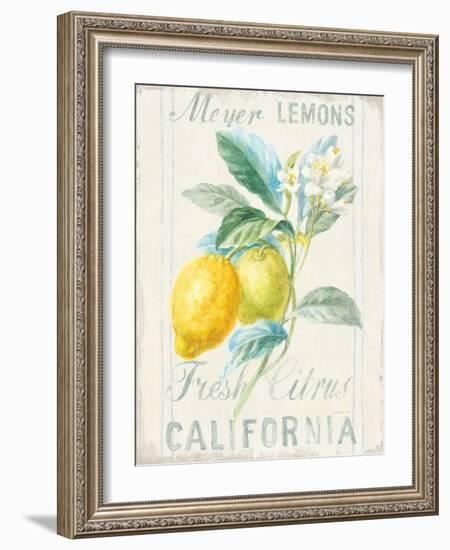 Floursack Lemon II-Danhui Nai-Framed Art Print