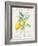 Floursack Lemon II-Danhui Nai-Framed Art Print