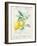 Floursack Lemon II-Danhui Nai-Framed Art Print