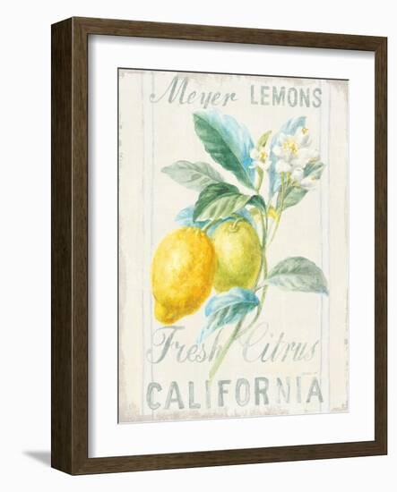 Floursack Lemon II-Danhui Nai-Framed Art Print