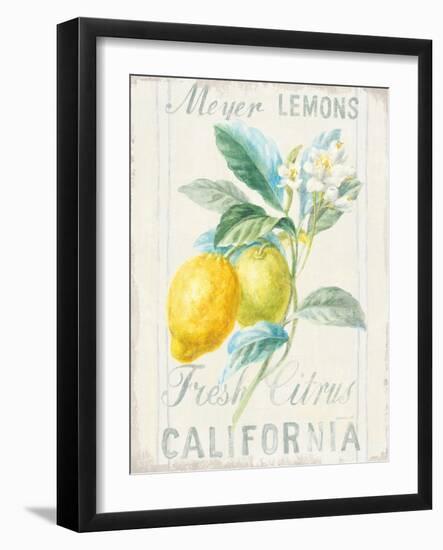 Floursack Lemon II-Danhui Nai-Framed Art Print