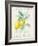 Floursack Lemon II-Danhui Nai-Framed Art Print