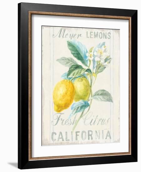 Floursack Lemon II-Danhui Nai-Framed Art Print