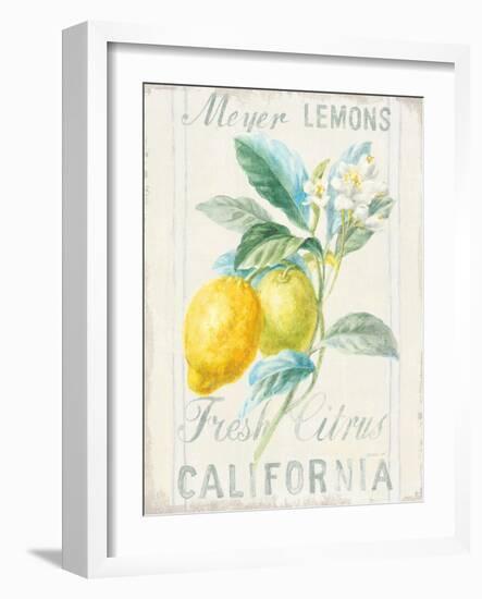 Floursack Lemon II-Danhui Nai-Framed Art Print