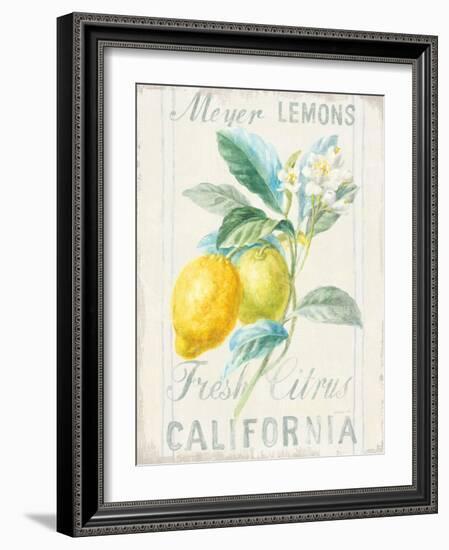 Floursack Lemon II-Danhui Nai-Framed Art Print