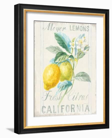 Floursack Lemon II-Danhui Nai-Framed Art Print