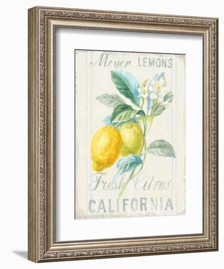 Floursack Lemon II-Danhui Nai-Framed Premium Giclee Print