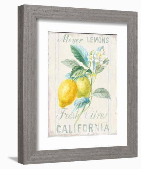 Floursack Lemon II-Danhui Nai-Framed Premium Giclee Print