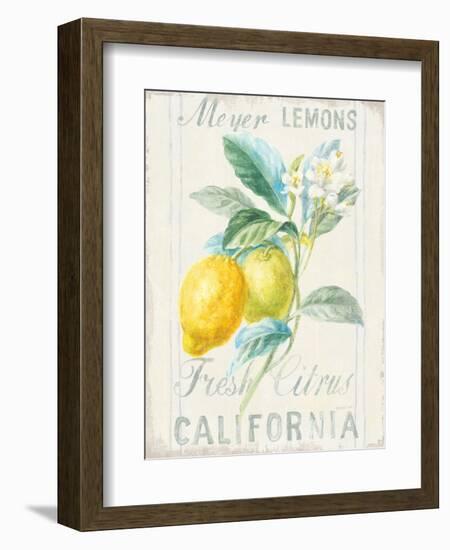 Floursack Lemon II-Danhui Nai-Framed Premium Giclee Print