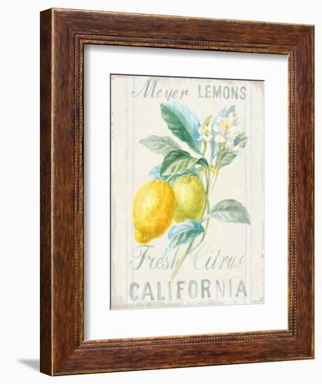 Floursack Lemon II-Danhui Nai-Framed Premium Giclee Print