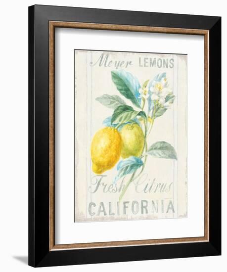 Floursack Lemon II-Danhui Nai-Framed Premium Giclee Print