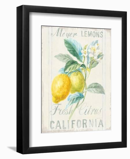 Floursack Lemon II-Danhui Nai-Framed Premium Giclee Print