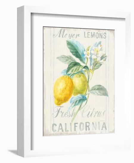 Floursack Lemon II-Danhui Nai-Framed Premium Giclee Print