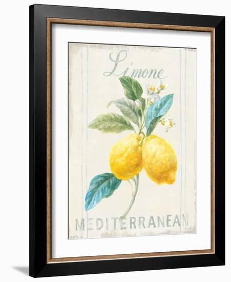 Floursack Lemon III-Danhui Nai-Framed Art Print