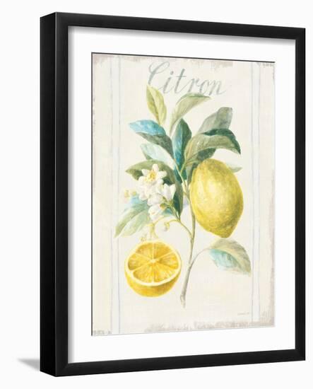 Floursack Lemon IV v2-Danhui Nai-Framed Art Print