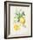 Floursack Lemon IV v2-Danhui Nai-Framed Art Print