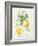 Floursack Lemon IV-Danhui Nai-Framed Art Print