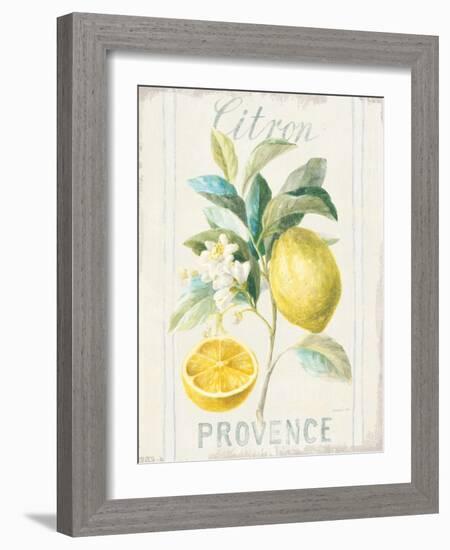 Floursack Lemon IV-Danhui Nai-Framed Art Print